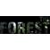 The Forest (PC)