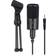 Ewent Microphone Pro, 3,5mm Jack, Black Multimedia Microphone W. Stand (ew3552)