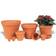 Scan-Pot Clay Pot Krukke