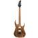 Ibanez RG421HPAM