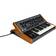 Moog Subsequent 25