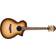 Ibanez AEWC11-TCB Transparent Charcoal Burst Guitare Jumbo acoustique-électrique