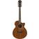 Ibanez AE2912-LGS Natural Guitares acoustique-électrique 12 cordes