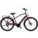 Electra Townie Path Go! 10D Step-Over 2020 Men's Bike