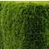 Thuja Emerald 80-100cm Hækplante