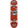 Enuff Skateboard complet SKATEBOARDS Skully 7.75 x 31.5 Blue