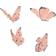That's Mine Butterflies 4 pcs