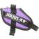 Julius-K9 IDC Power Harness 16IDC-ANT-M