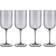 Blomus Fuum Verre à Vin Rouge 40cl 4pcs