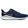 Nike Air Zoom Vomero 14 Coastal Blue Men's