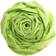 Crepe Paper Apple Green 2.5x0.5m 10 sheets