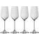 Spiegelau LifeStyle Champagne Glass 31cl 4pcs