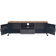 vidaXL 245456 TV-bänk 120x43cm