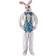 Orion Costumes Easter Bunny Adult Costume One