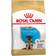 Royal Canin German Shepherd Puppy 12kg