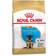 Royal Canin German Shepherd Puppy 3kg