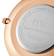 Daniel Wellington Petite Ashfield (DW00100307)