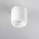 LIGHT-POINT Solo 2 2700K Round Ceiling Flush Light 10cm