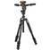 Manfrotto Trépied befree MKBFRLA-3W Noir