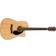 Fender CD-60S Dreadnought WN BK