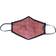 Brixton Antimicrobial Face Mask