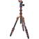 3 Legged Thing Legends Ray 5-Section CF Tripod System, AirHed Vu, Bronze/Blue