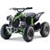 ATV Renegade 1060W