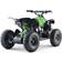 ATV Renegade 1060W
