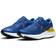 Nike Renew Run GS - Game Royal/Photo Blue/Black/Metallic Silver