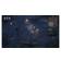 Ancestors Legacy Switch