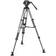 Manfrotto CF Twin Leg MS + 504X