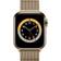 Apple Watch Series 6 Cellular 40mm Stainless Steel Case with Milanese Loop