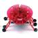 Hexbug Beetle