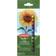 Derwent Academy Soft Pastels Pack 12