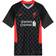 Nike Liverpool FC Stadium Third Jersey 20/21 Sr