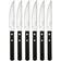 Robert Welch Trattoria Bright Grillkniv 22.2cm 6stk