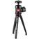 Manfrotto Table Top Tripod + 492