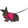 Trixie Soft Harness with Leash