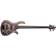 Schecter Riot-5 Inferno Burst Basse 5 cordes