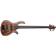 Schecter Riot-5 Inferno Burst Basse 5 cordes