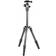 Manfrotto Petit Trépied Element Carbone