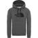 The North Face Drew Peak Hoodie - TNF Medium Grey Heather (STD)/TNF Black