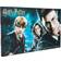 Harry Potter Limited Edition Collectable Coin Advent Calendar 2020