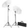 vidaXL Studio Set with White Background and Lamps 600x300 cm