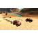 Rally Racers (Switch)