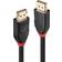 Lindy 41079 DisplayPort-DisplayPort 15m