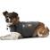 ThunderShirt XXS