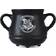 Half Moon Bay Harry Potter Apothecary Mugg 65cl