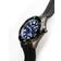 Citizen Eco-Drive (BN0205-10L)