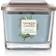 Yankee Candle Coastal Cypress Medium 3 Wick Doftljus 347g